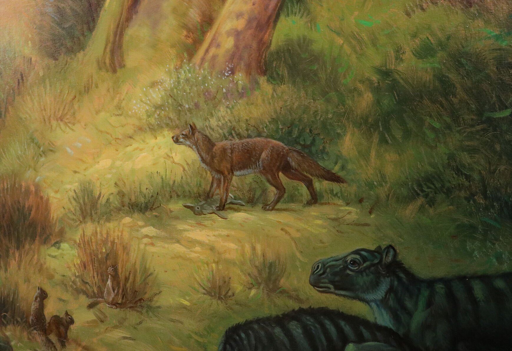 Archeocyons canid